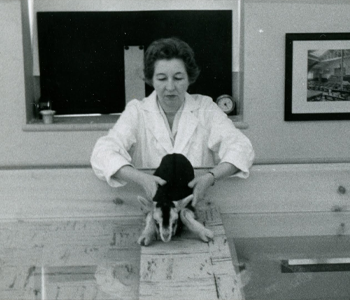 Eleanor Gibson during the Visual Cliff study